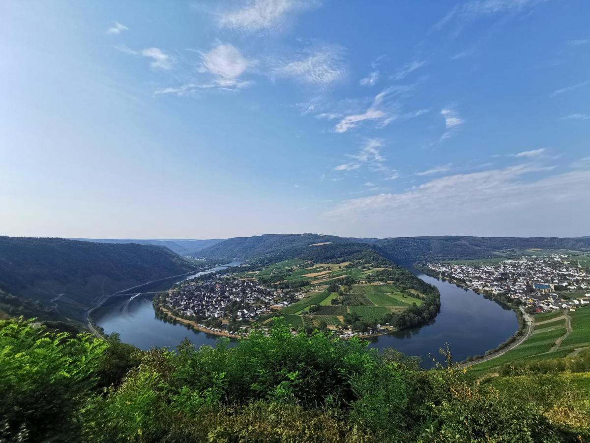 Ferienwohnung Moselpanorama Traben-Trarbach Exteriör bild