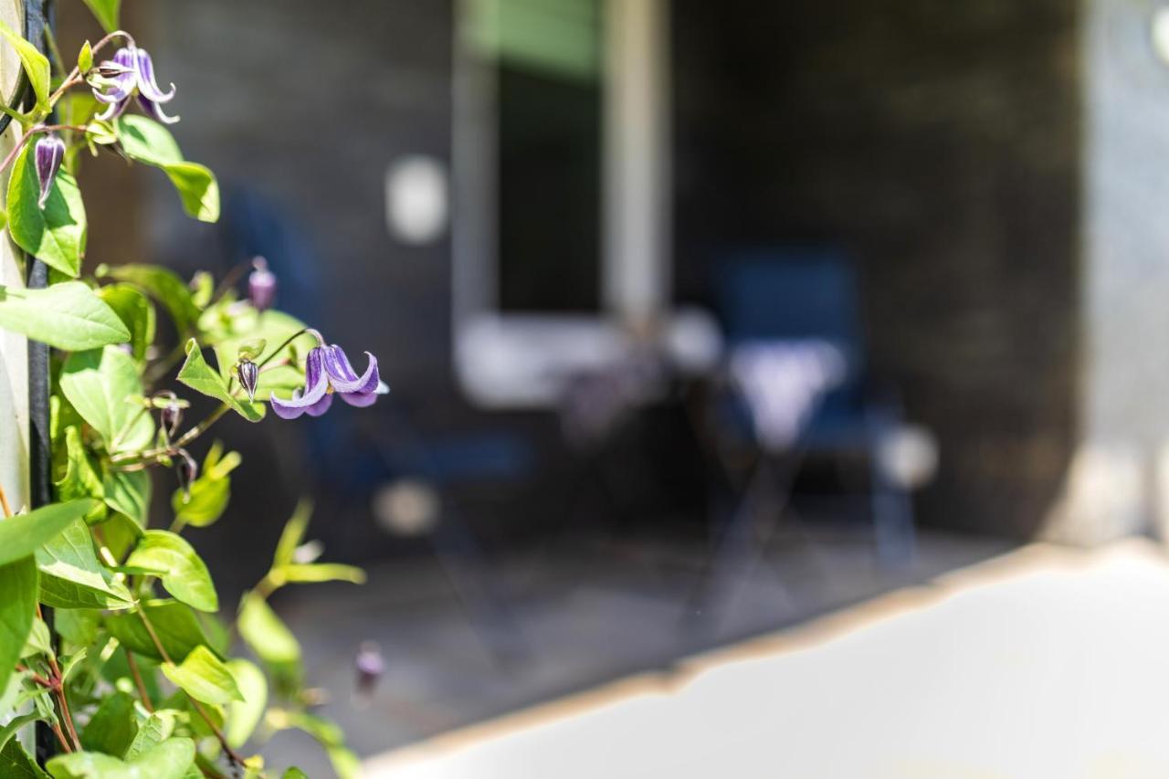 Ferienwohnung Moselpanorama Traben-Trarbach Exteriör bild